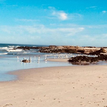 Stay At 11 On Gull Cape Town Luaran gambar